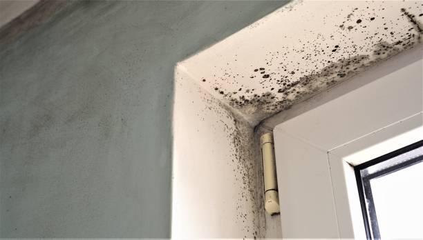 Best HVAC Mold Inspection and Cleaning  in Miles, TX
