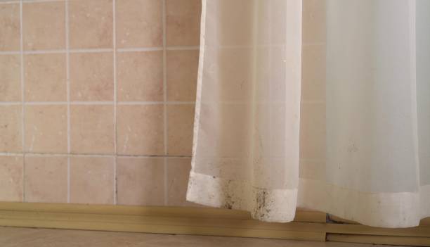 Best Commercial Mold Inspection  in Miles, TX