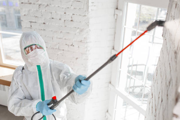 Best Mold Odor Removal Services  in Miles, TX