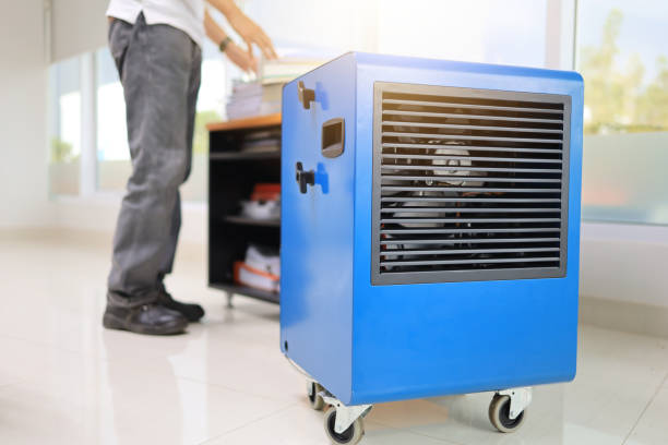 Best Forensic Mold Investigation  in Miles, TX