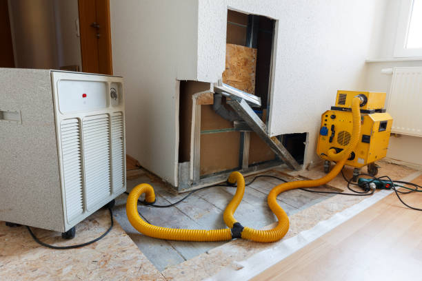 Best Crawl Space Mold Remediation  in Miles, TX