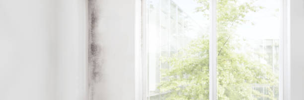 Mold Remediation for Vacation Homes in Miles, TX